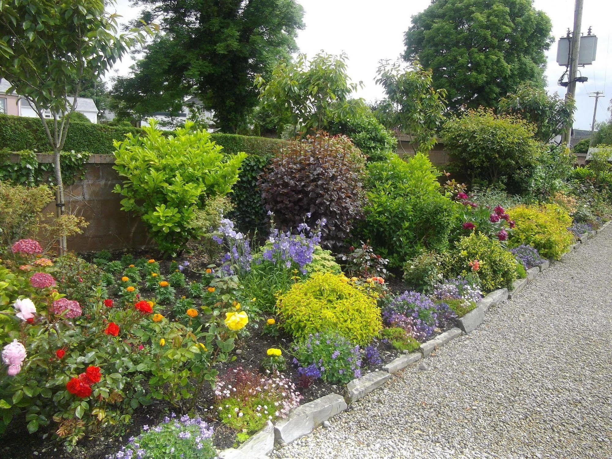 Quay West Ireland Bed & Breakfast Westport Luaran gambar